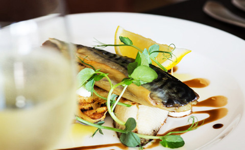 Holiday Cottages with Fishing Devon