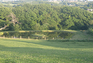 Dog Friendly Holiday Cottages Dartmoor