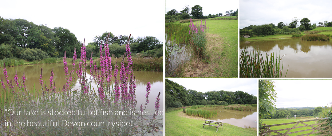 Fishing Holidays Dartmoor