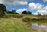 Holiday Cottages Dartmoor