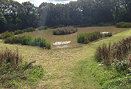 Pet Friendly Holiday Cottages Dartmoor