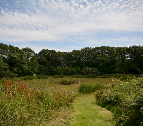 Dog Friendly Cottages Dartmoor