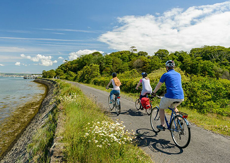 Holiday Cottages Dartmoor