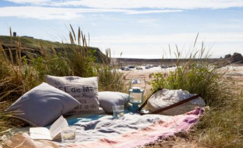 Holiday Cottages near Dartmoor