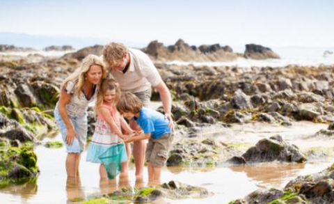 Holiday Cottages Dartmoor