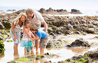 Dog Friendly Holiday Cottages Dartmoor