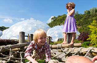 Holiday Cottages Dartmoor