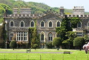 Pet Friendly Holiday Cottages Dartmoor