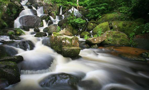 Pet Holiday Cottages Dartmoor