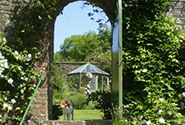 Pet Friendly Holiday Cottages Dartmoor