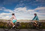 Dog Friendly Holiday Cottages Dartmoor