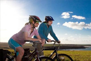 Dog Friendly Holiday Cottages Dartmoor