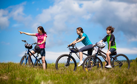 Holiday Cottages Dartmoor