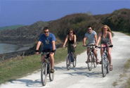Pet Friendly Holiday Cottages Dartmoor