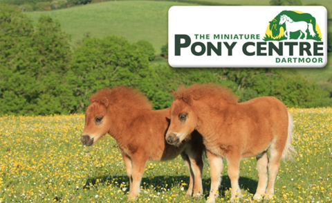Pet Friendly Holiday Cottages Dartmoor