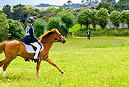 Pet Friendly Holiday Cottages Dartmoor