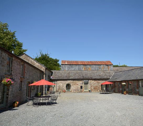 Pet Friendly Holidays Dartmoor