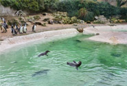 Holiday Cottage With Fishing Devon
