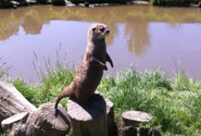 Holiday Cottage With Fishing Lake Devon
