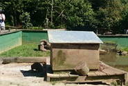 Holiday Cottage With Fishing Lake Devon